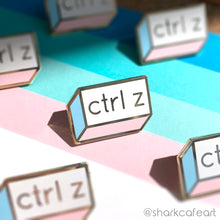 Load image into Gallery viewer, Ctrl Z PASTEL Pin