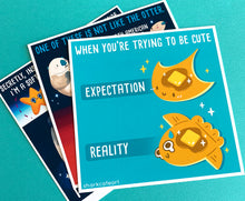 Load image into Gallery viewer, Emotional Support Mola | Sunfish Print